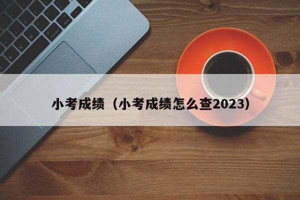 小考成绩（小考成绩怎么查2023）