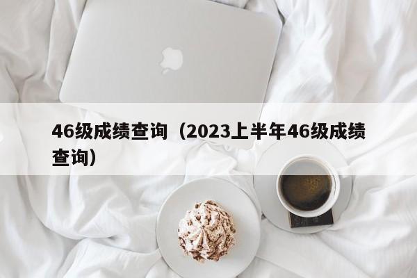 46级成绩查询（2023上半年46级成绩查询）