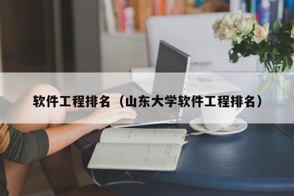 软件工程排名（山东大学软件工程排名）