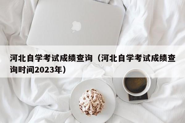 河北自学考试成绩查询（河北自学考试成绩查询时间2023年）