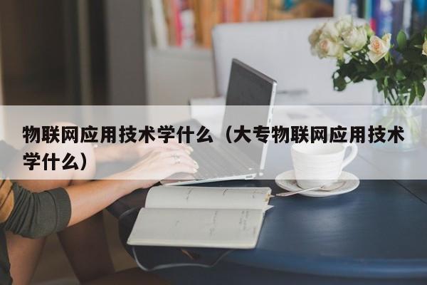 物联网应用技术学什么（大专物联网应用技术学什么）