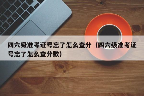 四六级准考证号忘了怎么查分（四六级准考证号忘了怎么查分数）