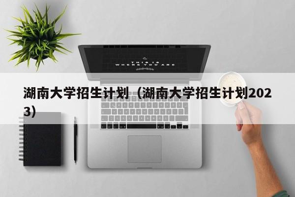 湖南大学招生计划（湖南大学招生计划2023）