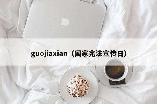 guojiaxian（国家宪法宣传日）