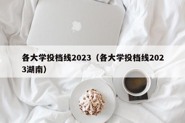 各大学投档线2023（各大学投档线2023湖南）