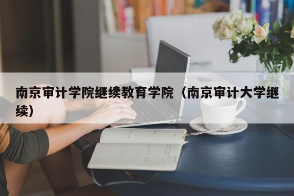 南京审计学院继续教育学院（南京审计大学继续）