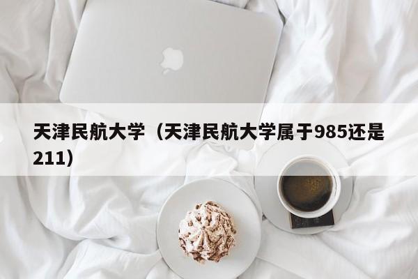 天津民航大学（天津民航大学属于985还是211）